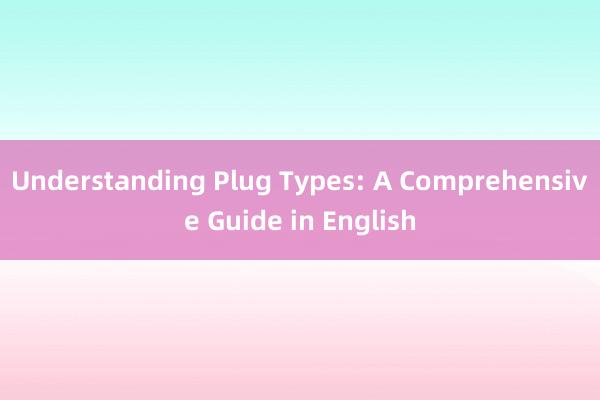 Understanding Plug Types: A Comprehensive Guide in English